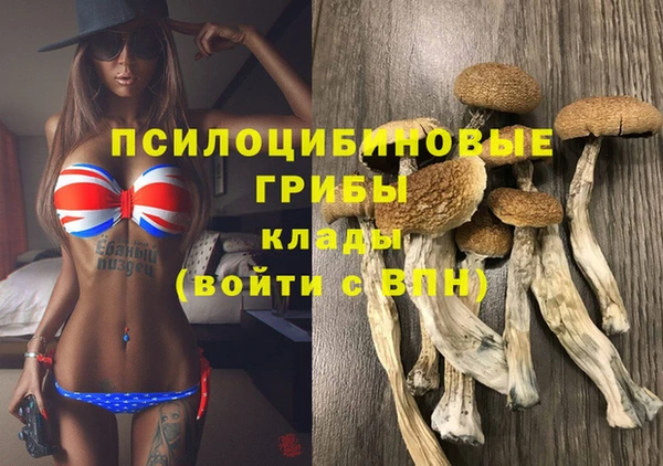 прущая мука Елабуга